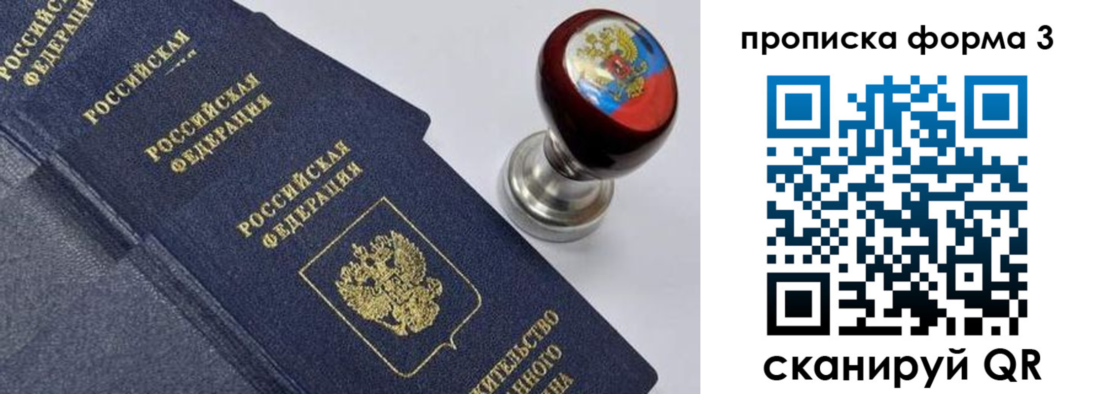 прописка 2025 в Жуковском